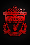 Liverpool F.C Crest Metal Wall Art